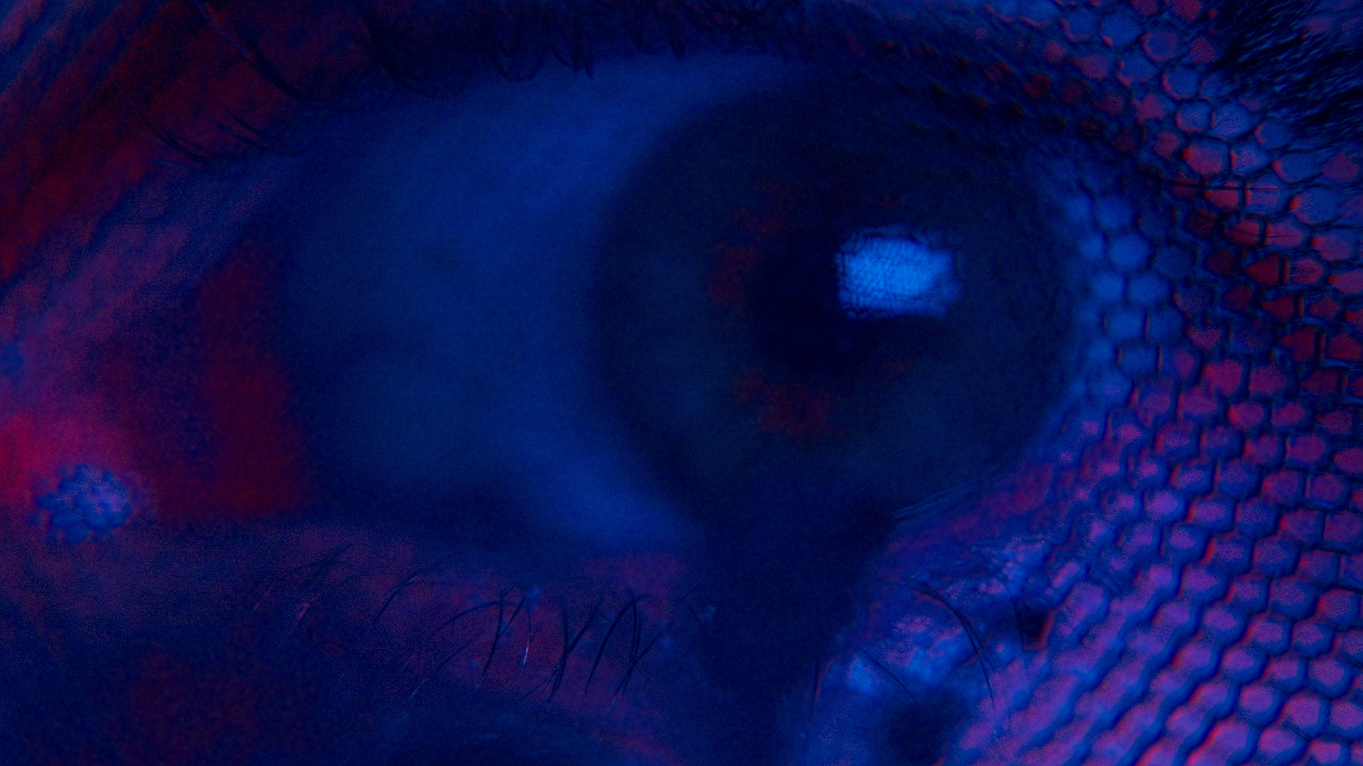 Image 2026-02-25 135406_2.19.1