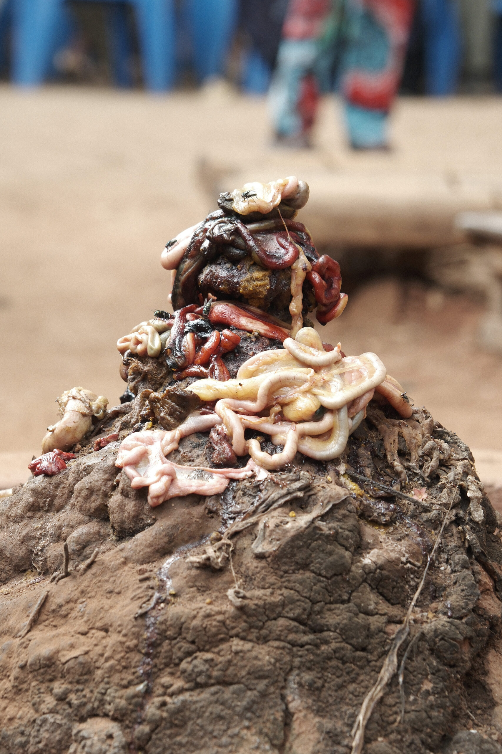 The Porto No Mad festival held in Porto-Novo, Benin, on January 18, 2025, celebrated the inauguration of Dagbe Honto Square. The event featured vibrant Vodou ceremonies attended by priests, worshippers from the Python Temple, and a diverse audience. The ceremonies highlighted the spiritual and cultural heritage of Porto-Novo, showcasing the city as a hub of African traditions.
Le festival Porto No Mad, organise a Porto-Novo au Benin le 18 janvier 2025, a celebre l’inauguration de la place Dagbe Honto. L’evenement a ete marque par des ceremonies vaudou vibrantes en presence de pretres, d’adeptes du temple des Pythons et d’un public varie. Ces ceremonies ont mis en lumiere l’heritage spirituel et culturel de Porto-Novo, soulignant son role de carrefour des traditions africaines.
